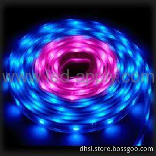 smd3528 led strip light 120pcs led per meter -3